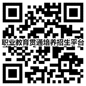 职业教育贯通培养招生平台 职业教育贯通培养招生平台
